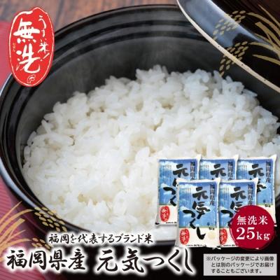 ふるさと納税 福智町 無洗米 元気つくし25kg