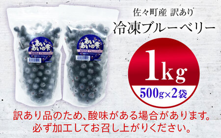 佐々町産訳あり冷凍ブルーベリー1kg[QAT019]
