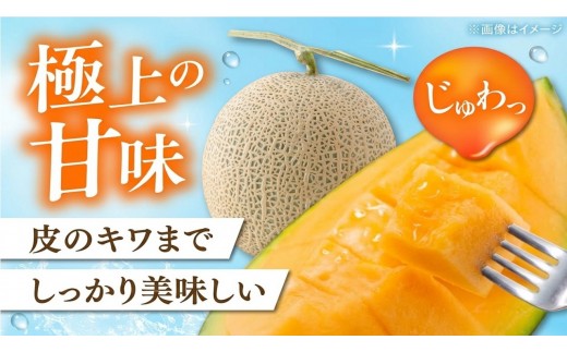 【2027年先行予約】おいわけメロン 1.6kg以上×1玉【配送指定なし】赤肉メロン 糖度16度以上 北海道安平町産 ギフト お中元 ※着日指定不可