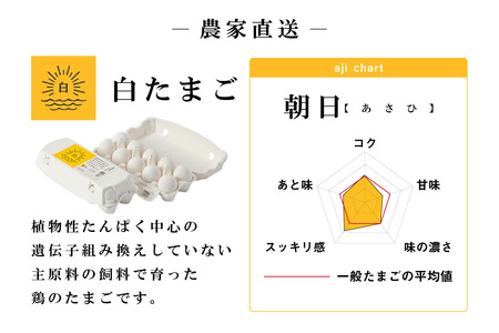 【12ヵ月定期便】ココテラスの朝日（白たまご）55個 + 5個保証（計60個）【JGAP認証】 農家直送 新鮮 卵 タマゴ 白卵 玉子 鶏卵 朝食 夕食 夜食 朝ごはん たまご焼き だし巻き卵 オムレ