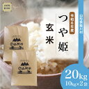 【ふるさと納税】＜令和6年産米 ＞ 鮭川村 つや姫【玄米】 20kg （10kg×2袋）