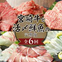 【ふるさと納税】宮崎牛と活〆鮮魚の豪華 6回 定期便 宮崎牛 A5等級 ブリ 真鯛 ヒラメ 活〆 鮮魚 魚介 牛肉 サーロインステーキ サーロイン ステーキ 小間切 焼肉 お刺身 半身 ロイン 国産 肉のマル誠 請関水産 九州 宮崎県 延岡市 お取り寄せ お取り寄せグルメ 送料無料