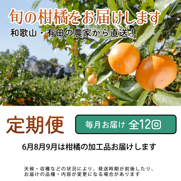 【定期便】家庭用 柑橘定期便 S 12回（毎月）※北海道・沖縄・離島への配送不可※毎月発送