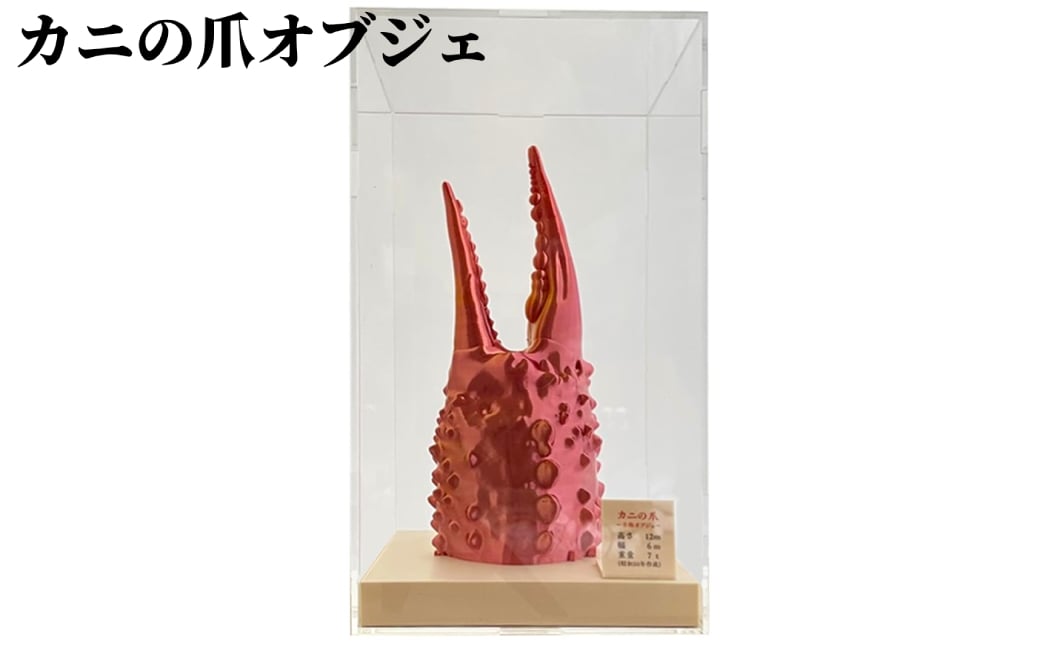 
            34-23 カニの爪オブジェ（大型）ケース付き
          