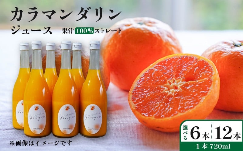 
            カラマンダリン ジュース 果汁100％ 720ml×6本/12本 | ストレート 無添加 みかん カラマンダリン 温州みかん キングマンダリン 果汁100 オーガニック 無添加 ストレートジュース 数量選択可 みかんジュース 果汁100% みかんジュース ジュース 柑橘 果汁飲料 みかんジュース NPO法人農音 愛媛県 松山市 中島
          