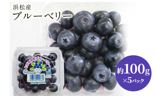 【浜松市産】ブルーベリー 約100g×5パック 計約500g 甘酸っぱい アントシアニン 食物繊維 ビタミン ミネラル 抗酸化作用 腸内環境改善 美容 美肌 健康 静岡県 浜松市