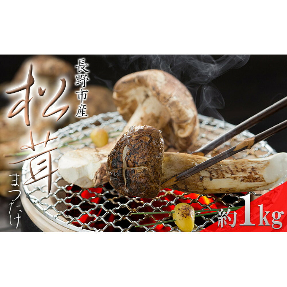 【ふるさと納税】長野市収穫　松茸　約1kg（8～15本） 野菜 きのこ まつたけ | まつたけ きのこ キノコ 秋の味覚 食材 人気 おすすめ 送料無料 長野県 長野市 信州 信濃 ふるさと納税