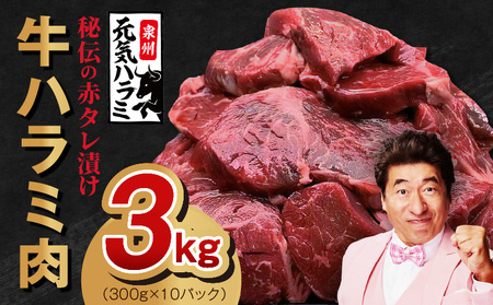 【TVで紹介！】牛ハラミ 総量 3kg タレ漬け 味付き 小分け 300g×10P【牛肉 焼肉用 焼くだけ 冷凍 小分け 焼肉 BBQ 肉厚 人気 高評価 訳あり サイズ不揃い 家計応援 消費応援品 数量限定】