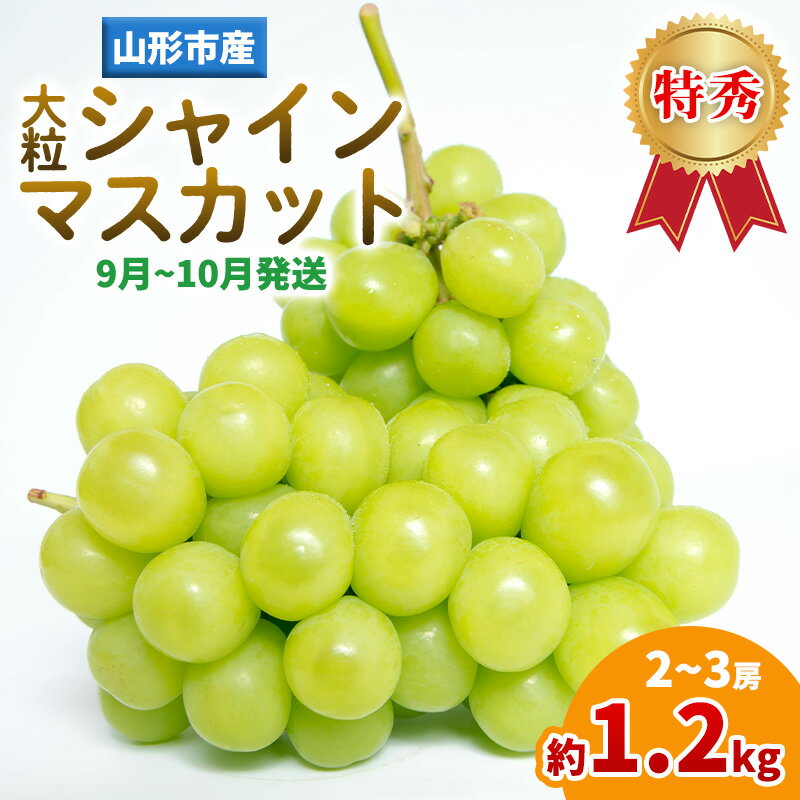【ふるさと納税】山形産 大粒シャインマスカット 約1.2kg(2～3房)(9～10月発送分) FY25-282