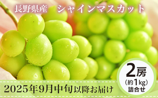 
            J0821 長野市産シャインマスカット2房（約1kg）【2025年9月中旬以降の出荷分】（本気農場いけだ）
          