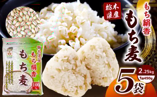 栃木県産もち麦 2.25kg(450g×5袋) | もち麦 麦 むぎ 栃木県産 もち 大麦 食物繊維 β-グルカン 糖質 ダイエット 腸内環境 栃木県 真岡市 送料無料