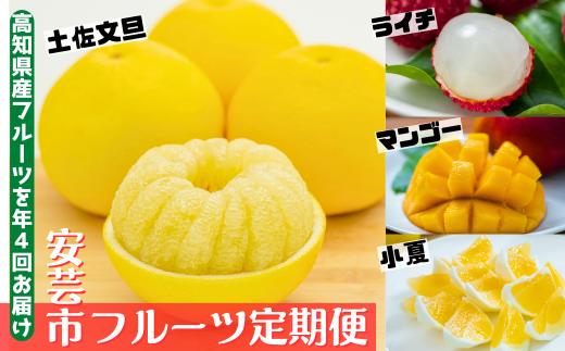 【年4回 旬のフルーツ定期便】季節のフルーツセット ライチ 土佐文旦 マンゴー 小夏 定期便 ふるーつ定期便 果物定期便 旬 千光士農園 メリーガーデン 季節 フルーツ ギフト 果物 くだもの 贈答 ギフト 人気 おすすめ 安芸市 高知県