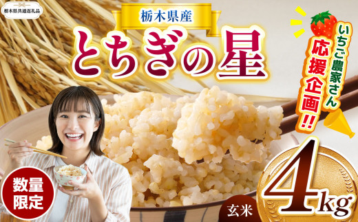 【栃木県共通返礼品】【先行予約】 訳あり 数量 限定 令和8年度産 とちぎの星 約 4kg| とちぎの星 ミルキークイーン 米 okome kome お米 ご飯  玄米 白米 ごはん おいしい  ふるさと納税 栃木県 那珂川町 送料無料