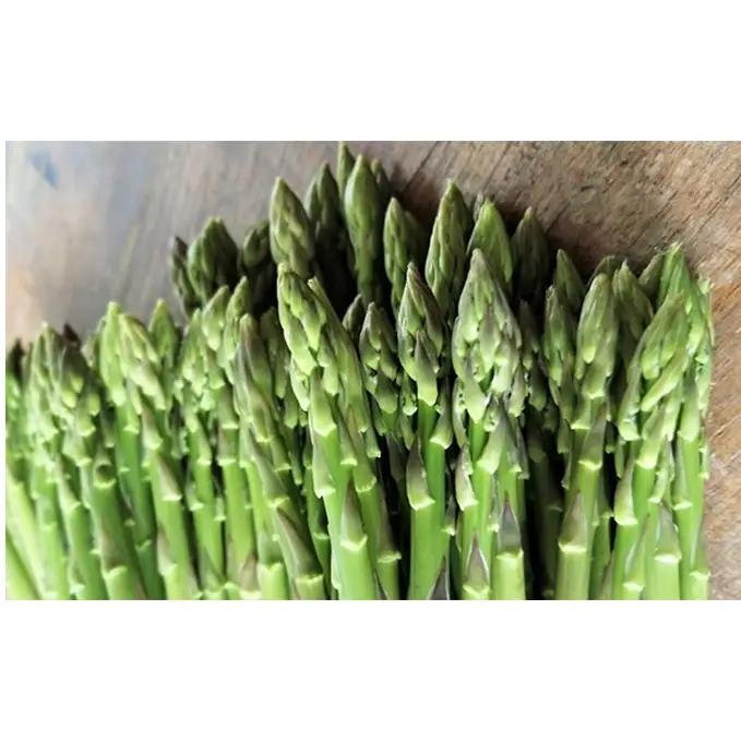 砂川さんの特選 アスパラ 1kg Mサイズ【さぬきのめざめ】 アスパラガス 冷蔵便 野菜 甘い 美味しい グリーンアスパラ 1万円以下 野菜セット 新鮮 旬 とれたて お取り寄せ 小分け BBQ 自宅