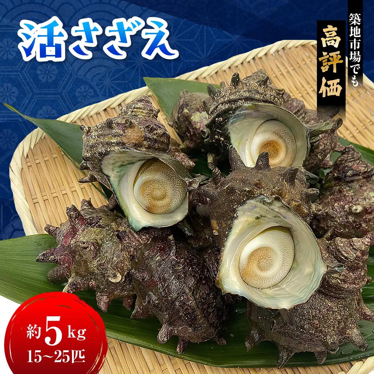 D202 活さざえA　ONJA010