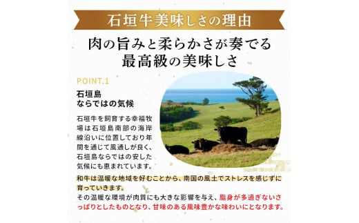 石垣牛 特選 肩ロース 焼肉 400g  沖縄県 石垣市 石垣島 肩ロース ロース 焼き肉 牛肉 黒毛和牛 E-44