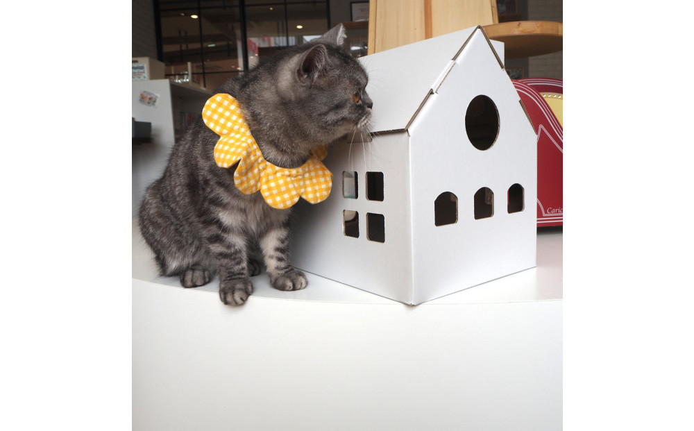 【白色】キャッツプレイハウス＆専用つめとぎ10枚セット