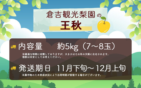 数量限定 王秋 5kg 【倉吉産】（倉吉観光梨園） 梨 ナシ なし ブランド梨 王秋 おうしゅう 鳥取 果物 フルーツ 和梨 先行予約 数量限定 詰め合わせ 人気 甘い