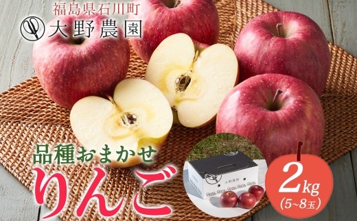 
                  りんご 2kg 品種お任せ 5～8玉 ｜ リンゴ 旬 ランダム 林檎 果物 フルーツ 甘い アップル 産直 大野農園 福島県 石川町【19009】
                