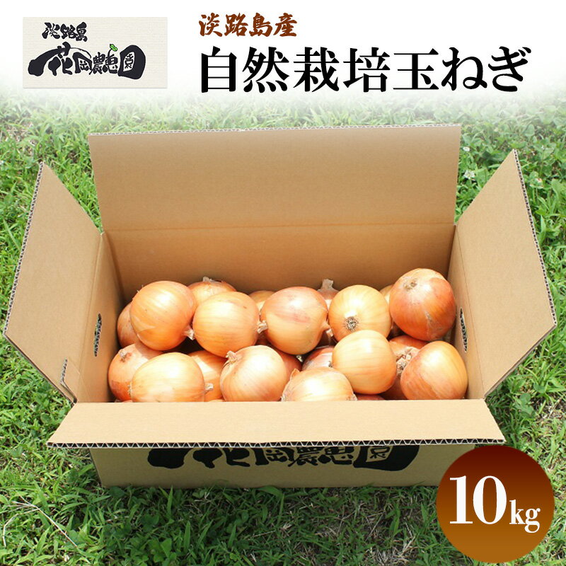 【ふるさと納税】淡路島産 栽培期間中 無肥料 無農薬 自然栽培 玉ねぎ 10kg 野菜 玉葱 兵庫県 洲本市 淡路島　お届け：5月～10月