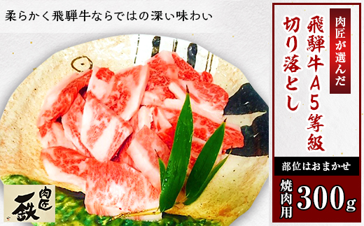 肉匠が選んだ飛騨牛A5等級切り落とし　300g(焼肉用)