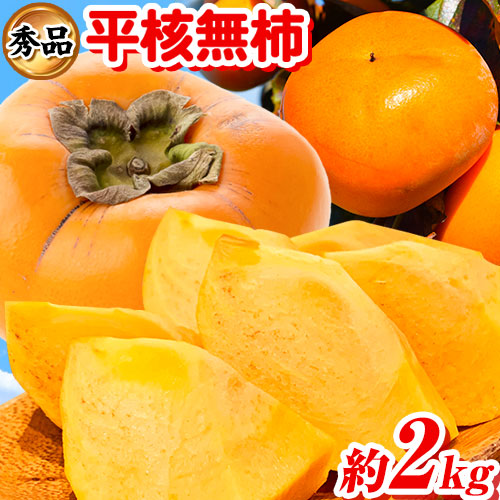 先行予約 秀品 和歌山秋の味覚 平核無柿 ( ひらたねなしがき )約2kg 化粧箱入 株式会社魚鶴商店《2026年10月上旬-11月上旬頃出荷》 和歌山県 日高町 柿 カキ かき たねなし ジューシー フルーツ