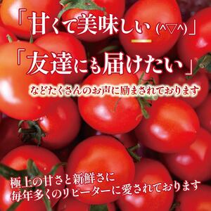 【ふるなびWEEK対象】 【先行受付】 新鮮トマト1kg 【安田町産】| トマト TR-03