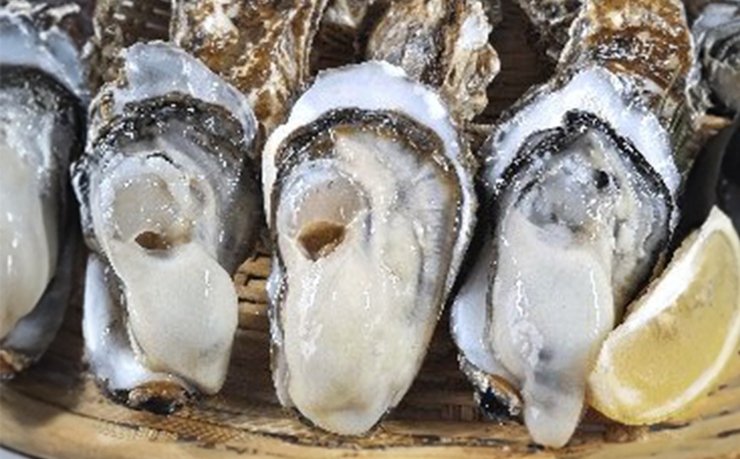 
                  松島牡蠣屋 殻付き牡蠣（生食用） 8kg  生牡蠣 宮城県産 牡蛎 牡蠣 カキ オイスター カキフライ 牡蠣鍋 海鮮 国産 魚貝類 【菊地水産合同会社】tm747
                