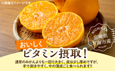 先行予約 不知火 計4.5kg 傷み補償分付き 期間限定 果物 くだもの フルーツ 蜜柑 ミカン 柑橘 おやつ デザート みかんジュース ゼリー シャーベット おすすめ おすそ分け 国産 食品 産地直