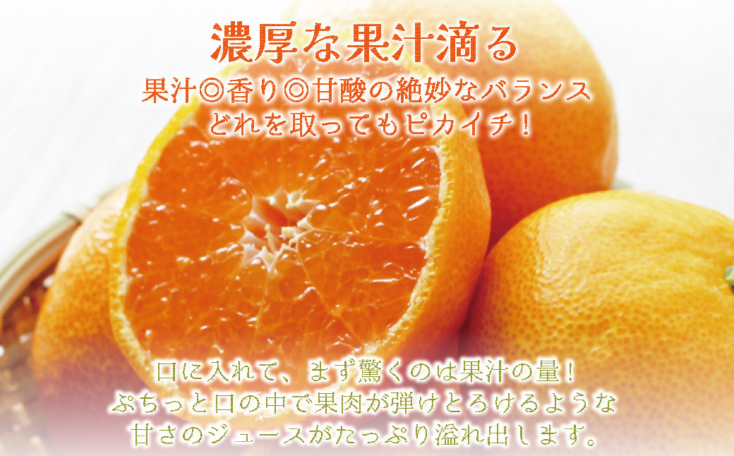 和歌山県産 早生温州みかん 秀品 Lサイズ 5kg [Sn6]