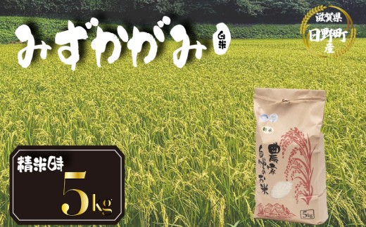 【 令和8年産 米 5kg 】 みずかがみ 米 白米 国産 滋賀県 日野町 農家直送 お米 おこめ こめ 産地直送 ふるさと納税