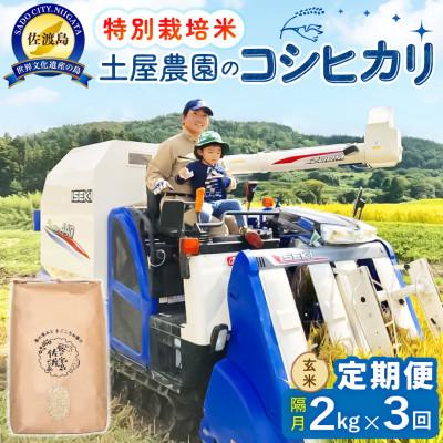 ふるさと納税 佐渡市 【2ヵ月毎定期便】佐渡島産コシヒカリ 玄米2kg 土屋農園 農家直送 特別栽培米　全3回