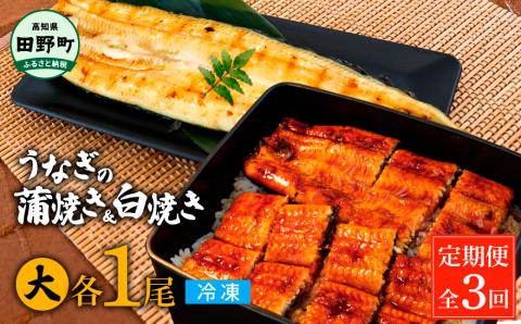 田野町産うなぎの蒲焼き(大)+うなぎの白焼き(大) 各1尾×3回 定期便 3ヶ月 定期コース 1尾あたり120～150g タレ・山椒付き