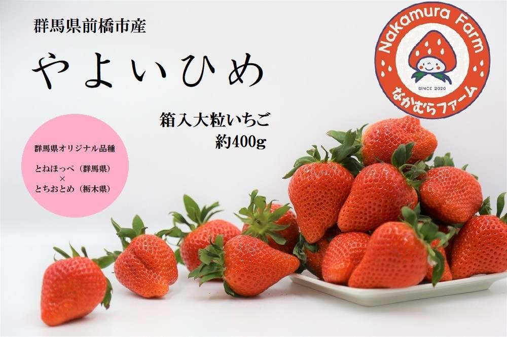 
            【2026年 先行予約】いちご 『やよいひめ』 約400g【2025年群馬県いちご品評会入賞！】| 群馬県 前橋市
          