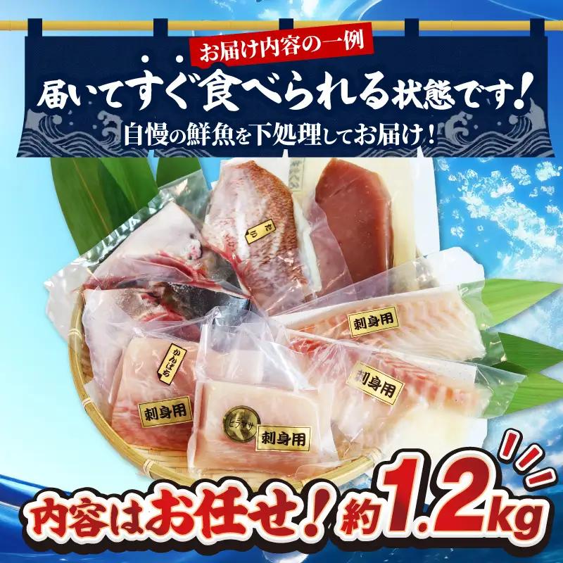 【海鮮】鮮魚セット 1.2㎏ 海鮮 刺身