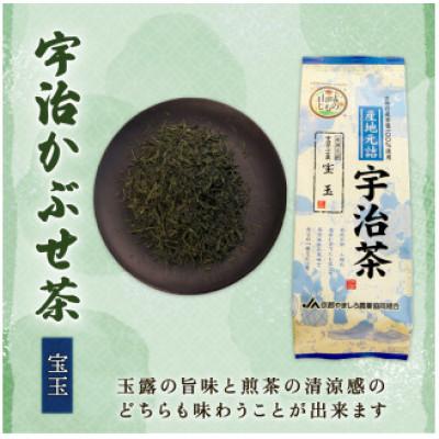 ふるさと納税 京都府 定番の宇治茶3種セット(宇治玉露 山城の露・宇治かぶせ茶 宝玉・宇治煎茶 優等煎茶) |  | 02