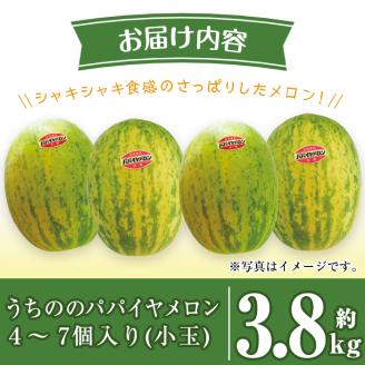 i457 ＜2026年4月中旬~5月中旬の間に発送予定＞うちののパパイヤメロン小玉(計約3.8kg・4～7個入) メロン パパイヤメロン 果物 くだもの フルーツ 期間限定 数量限定 旬 立体栽培 シ