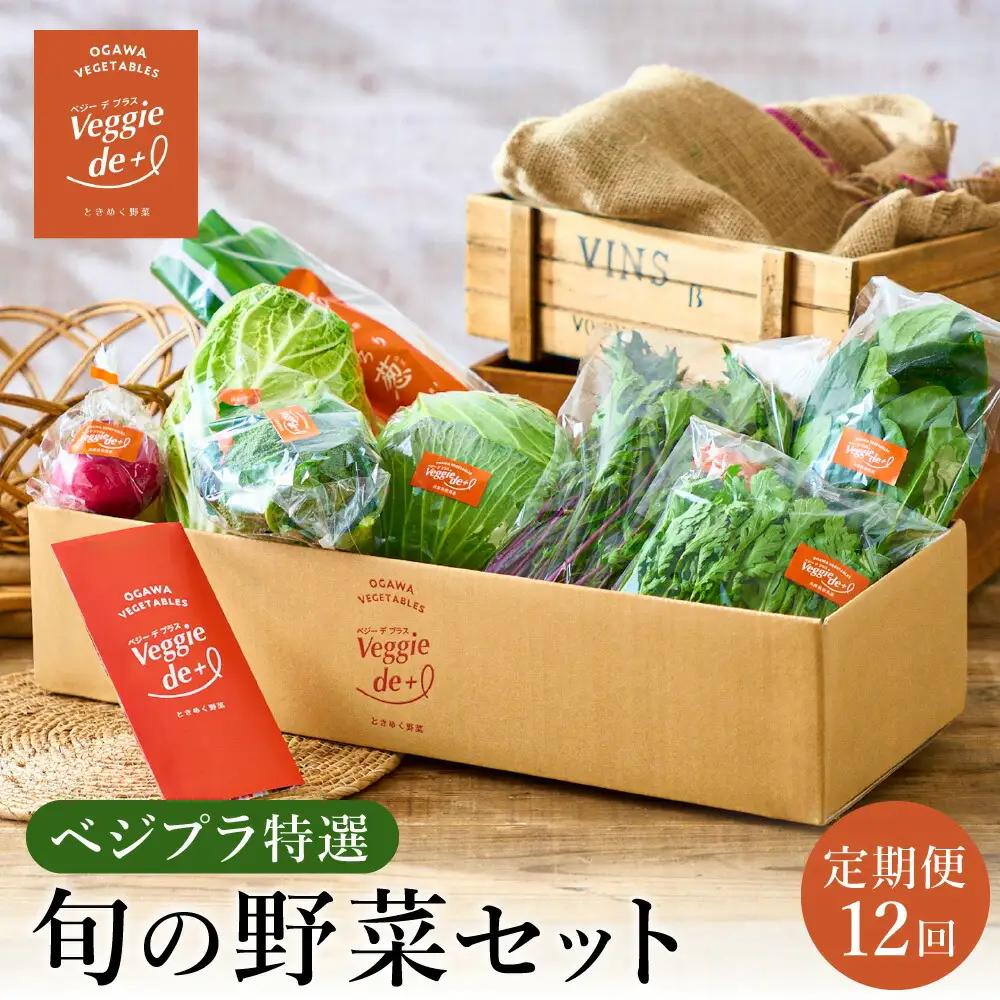 ベジプラ特選 旬の野菜セット 定期便：12回 毎月お届け Veggie de＋