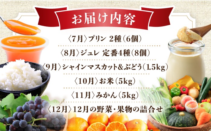 おおむら夢ファーム シュシュ 旬 大人気 バラエティー 定期便  毎月 お届け