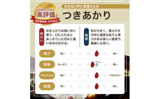 令和8年産 先行予約 新潟県 上越市産米 つきあかり 【隔月配送】 定期便 5kg×3回 計15kg 3か月 新米 精米 米ヴィレッジさんわ 上越市三和区