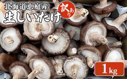 
            北海道恵庭産 生しいたけ 1kg 35個前後 数量限定 訳あり品 訳あり オンライン 申請 ふるさと納税 北海道 恵庭 生椎茸 しいたけ 椎茸 菌床 きのこ 栄養満点 肉厚 濃厚 採れたて 野菜 鮮度抜群 恵庭市【800008】
          