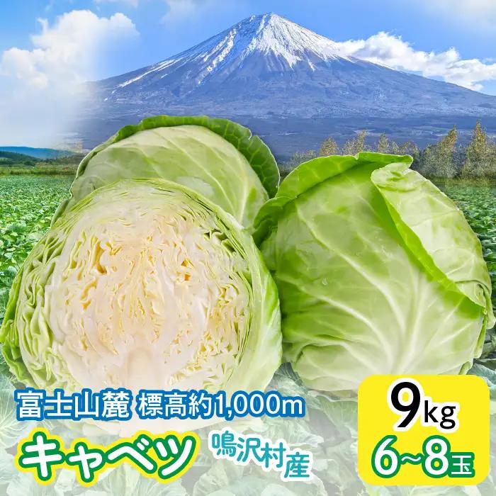 ＜2026年発送＞キャベツ　９㎏　（６～８玉） ふるさと納税 キャベツ 新鮮 美味しい シャキシャキ 野菜 山梨県 鳴沢村 送料無料 NSAK005