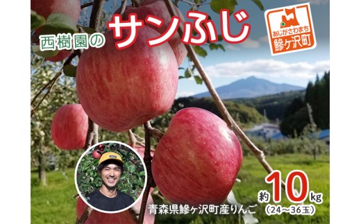 
                  りんご 青森 サンふじ リンゴ 約 10kg (24～36玉) 青森県 鰺ヶ沢町産 西樹園 フルーツ 果物 果物類 白神山地 林檎 サンフジ ふじ 
                