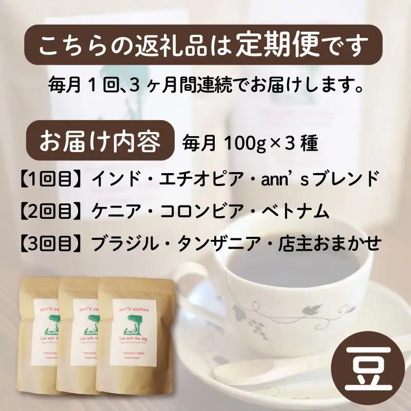 コーヒー豆 【定期便3か月】ann's cafe 100g×3種 コーヒー豆
