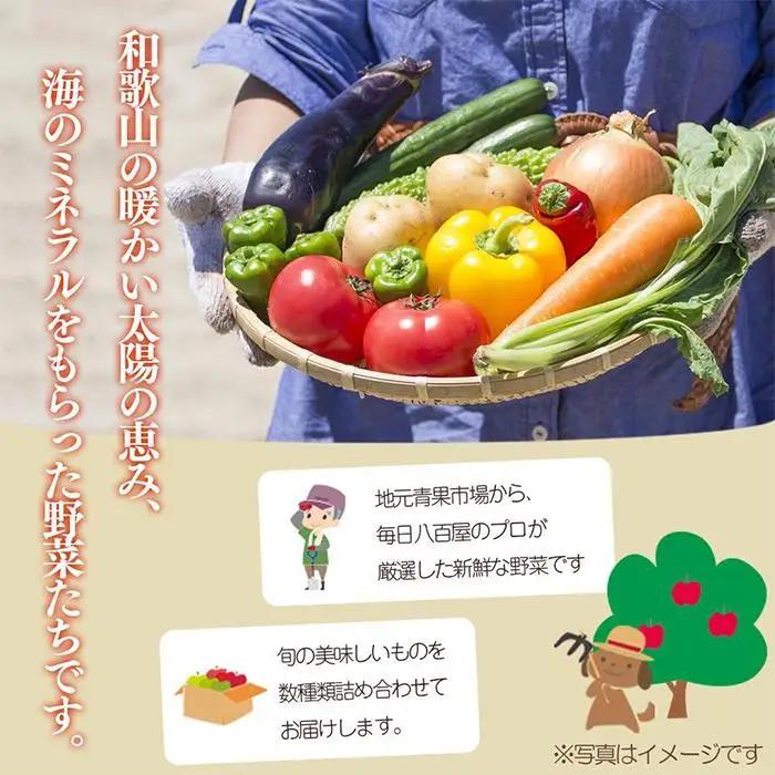  野菜セット定期便 　旬の新鮮野菜 8種以上 全12回やさい 印南町 人気
