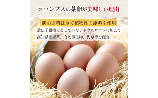 卵が苦手な子どもも食べられた！生臭くないおいしい卵 6個入×5P／Gbn-A03 