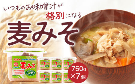 マルマサ醤油 麦 みそ 味噌 750g ×7 味噌 みそ