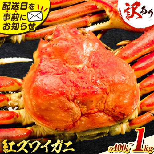 【ふるさと納税】訳あり カニ 紅ズワイガニ 選べる 400g(1枚) or 1kg(3枚)《2025年9月中旬-2026年6月中旬頃出荷》鳥取県 八頭町 送料無料 蟹 かに 姿 鍋 ズワイガニ ベニズワイガニ ズワイ蟹 ボイル 冷蔵便