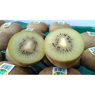 ふるさと納税 大野城市 福岡限定!ブランドキウイ「甘うぃ(あまうぃ)」約1.5kg箱(12-15玉)(大野城市) |  | 03