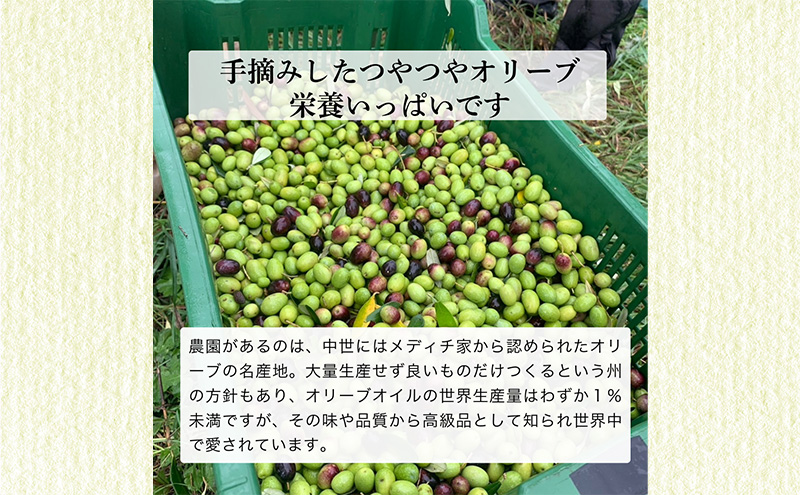 【生産予約】オリーブ通が選ぶ最高峰、金のNON-FILTER2本入りEVOO 計4本セット【2025年12月発送】エキストラ ヴァージン オリーブオイル イタリア トスカーナ産 袋井市 静岡県
